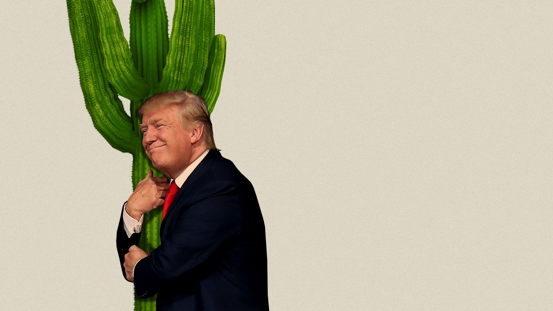 Illustration of President Trump hugging a cactus