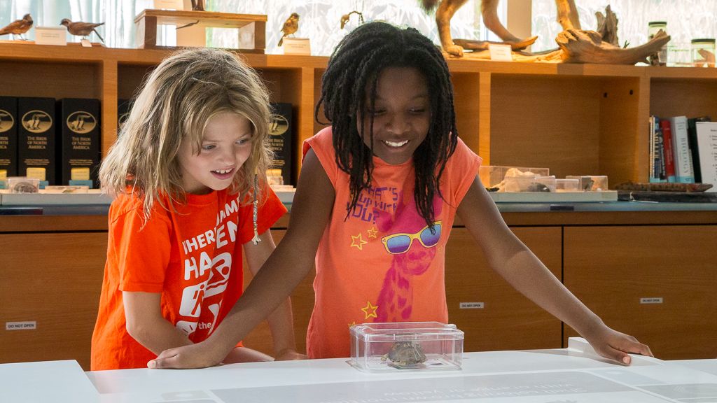 Photo courtesy of NCDNCR