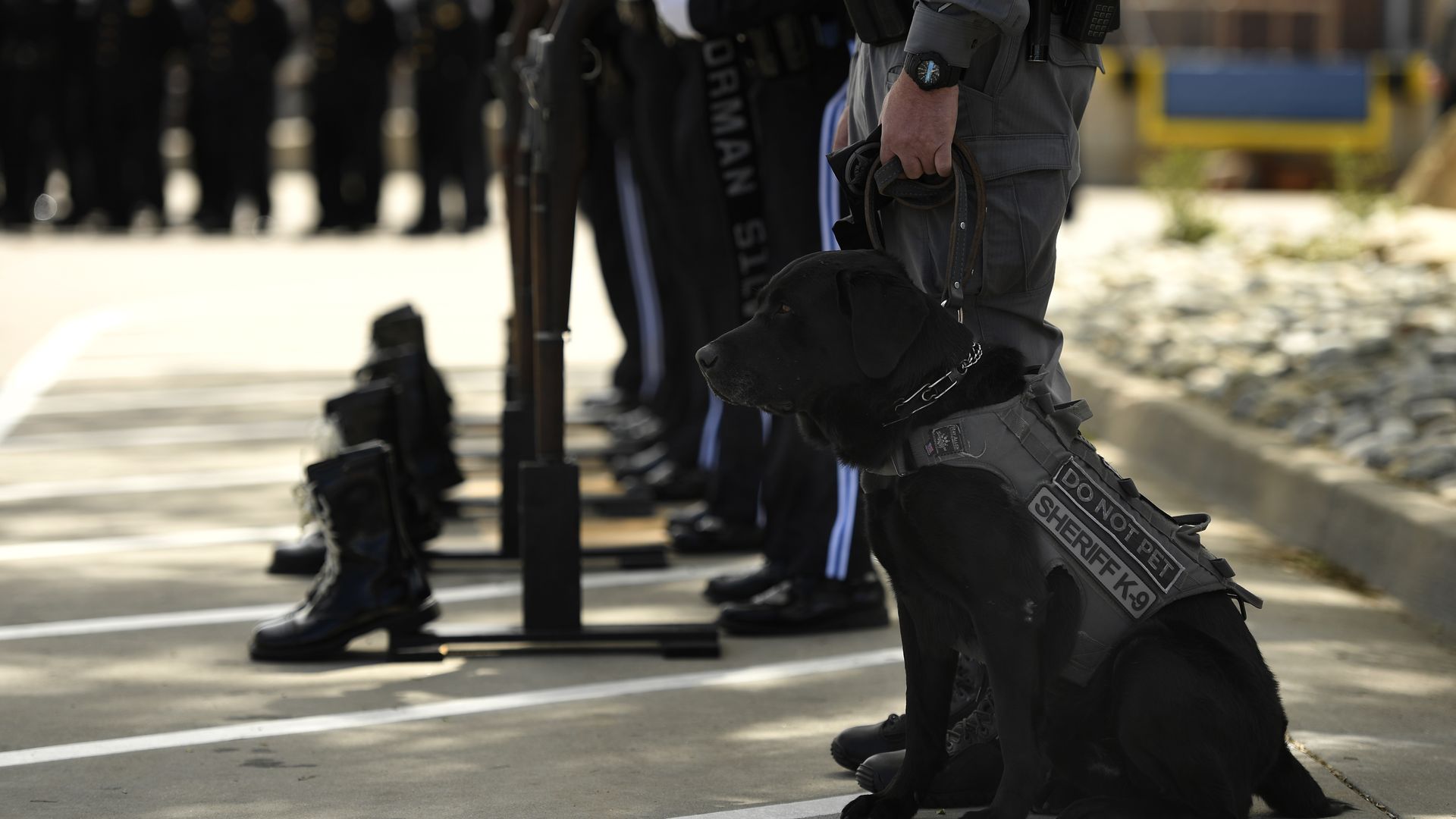A drug dog sits next to his handler.