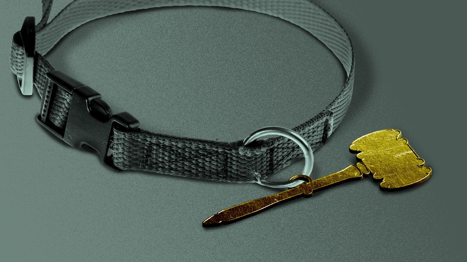 Illustration of a dog collar with a gavel-shaped charm.