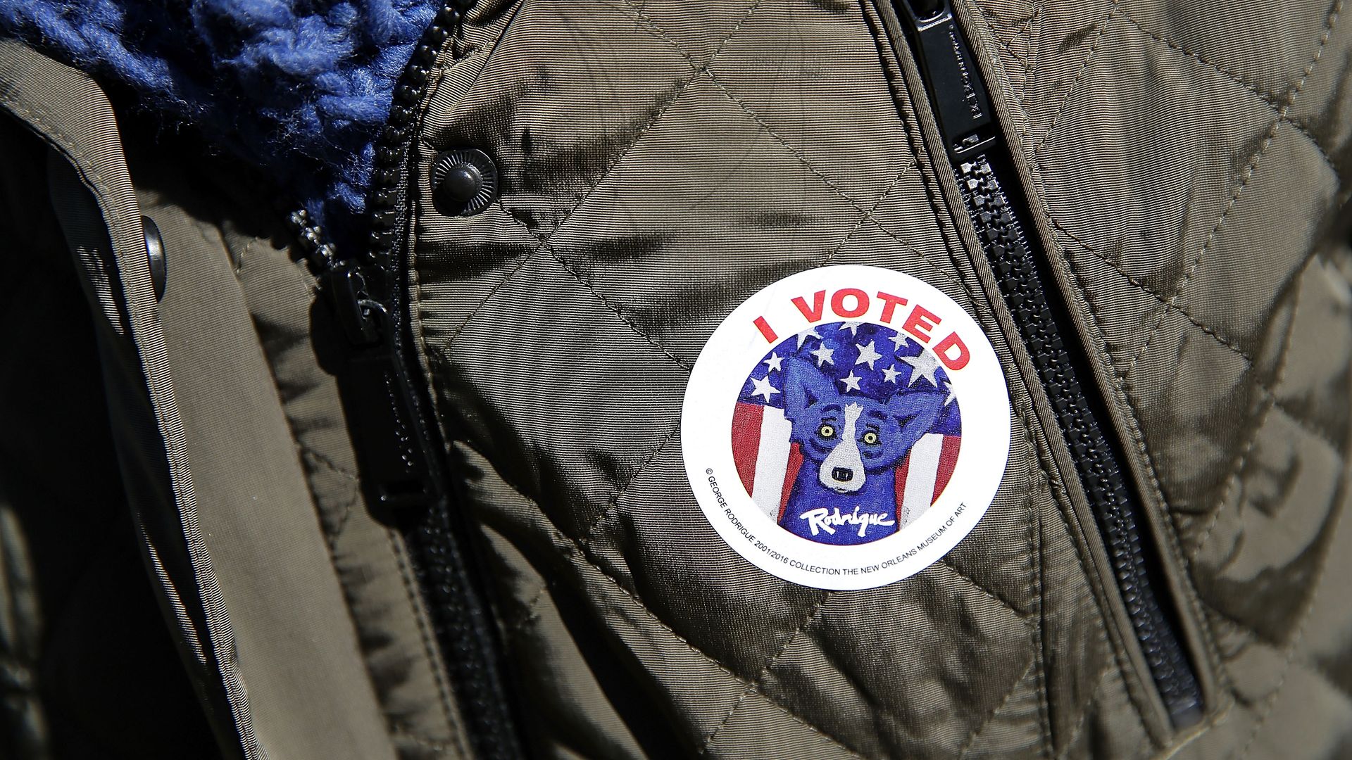 A close-up photo of an "I voted" sticker featuring the George Rodrigue blue dog on a person's jacket.
