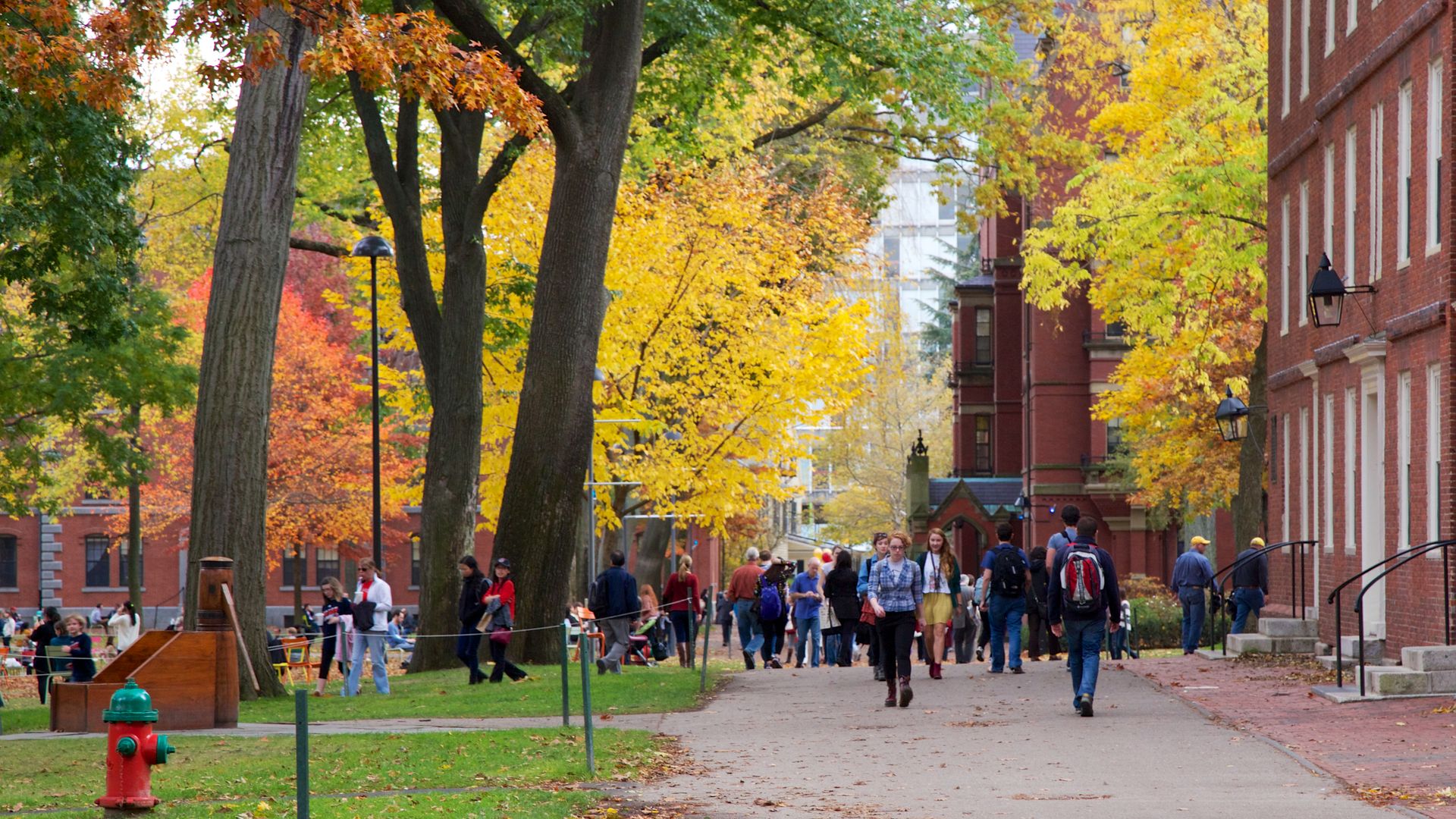 Harvard Yard, old heart of Harvard University campus.