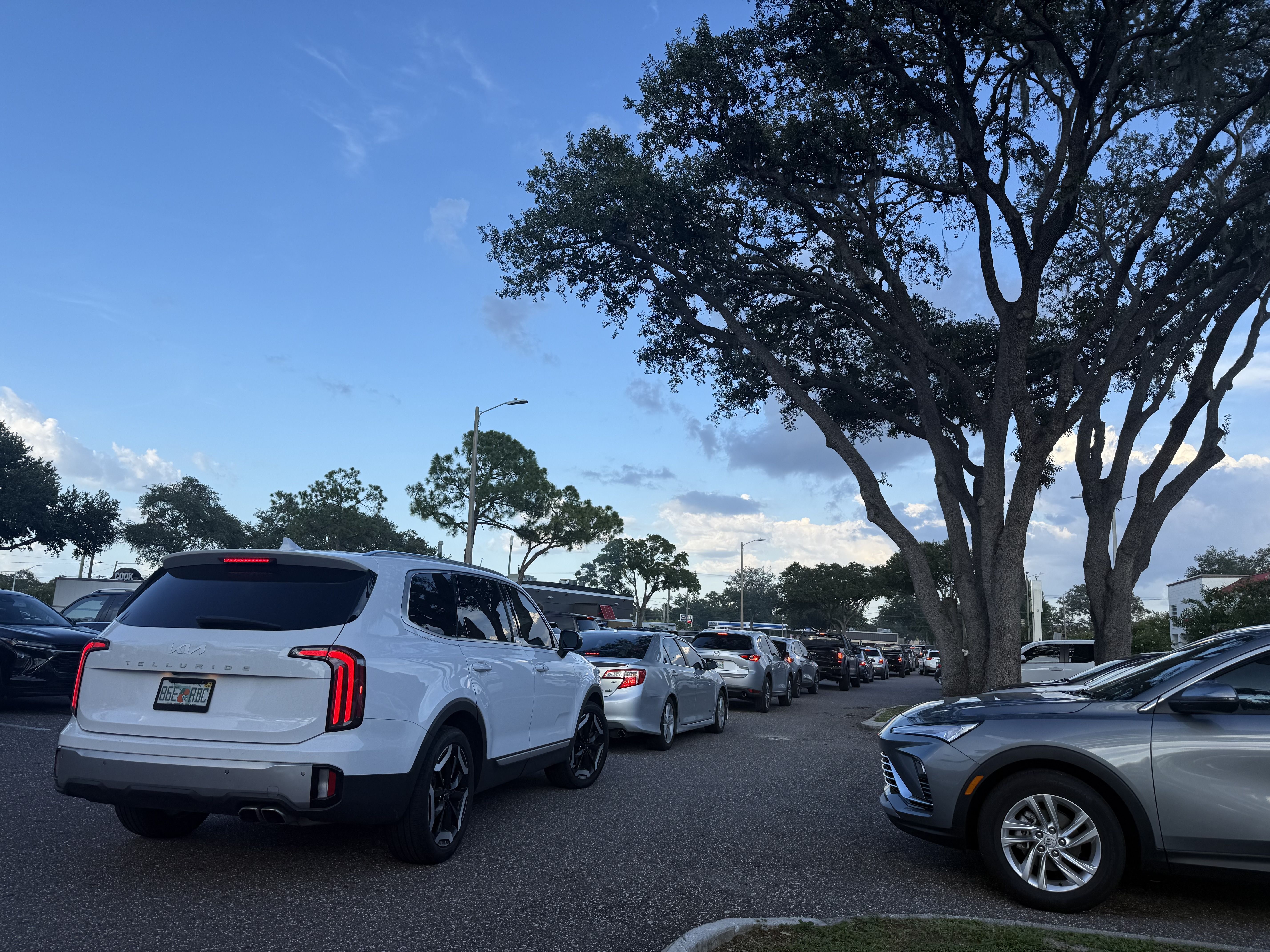Busy parking lot full of white and silver cars; foreground shows a white Kia Telluride. A large tree on the right reaches into a bright blue sky with a few clouds and distant streetlights.