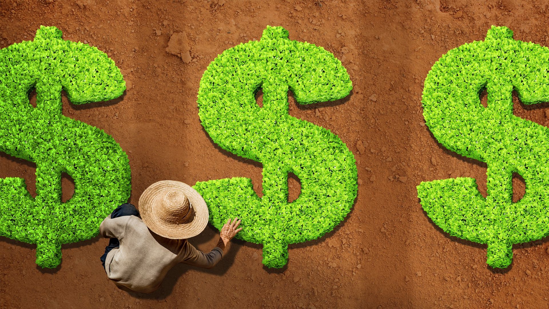 Illustration of a farmer bending over rows of plants shaped like dollar bills