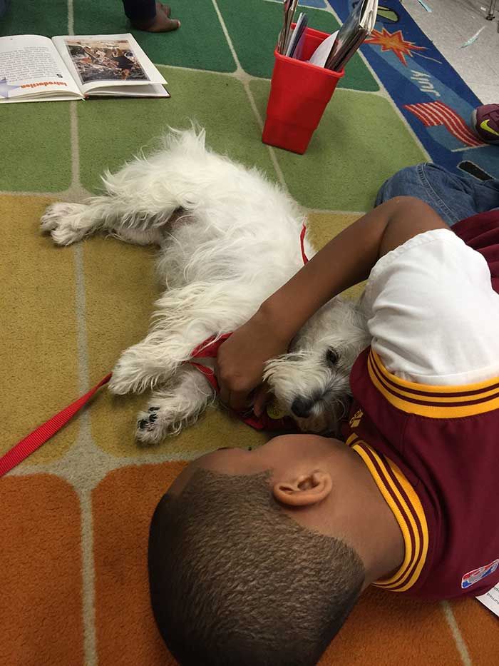 reading-buddy-snuggles