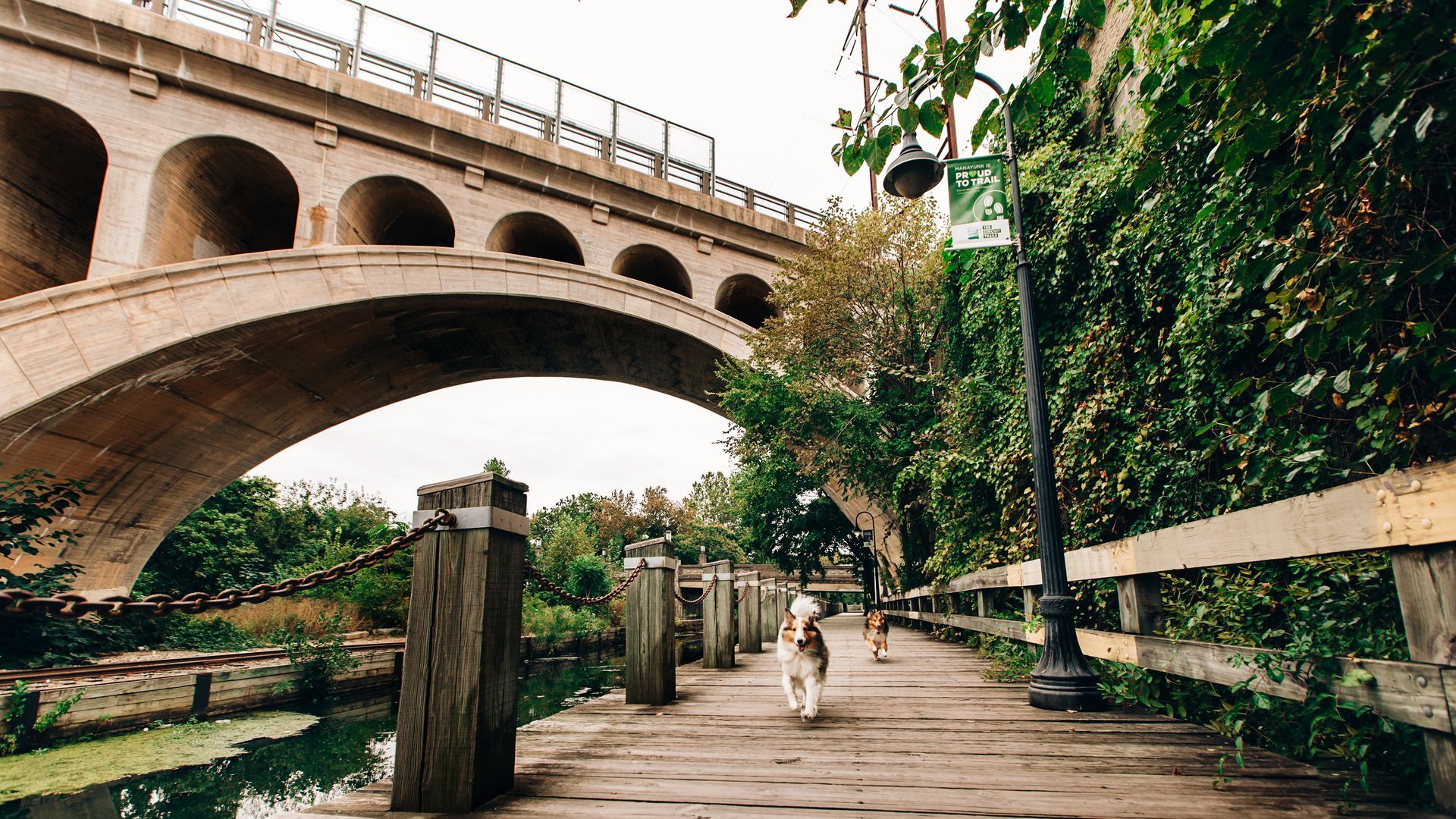 Two dogs run off-leash along the Manayunk Canal Towpath.