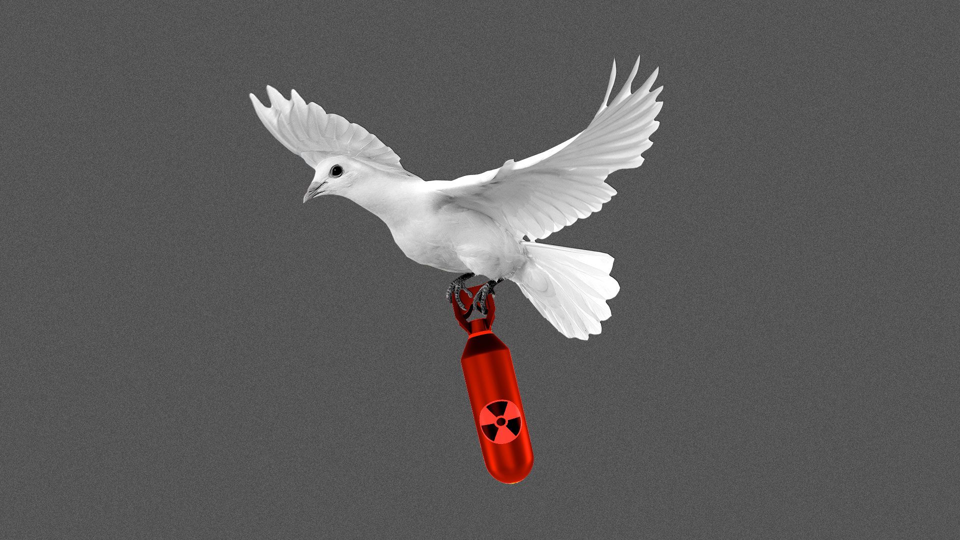 Illustration of a white dove carrying a nuclear bomb.