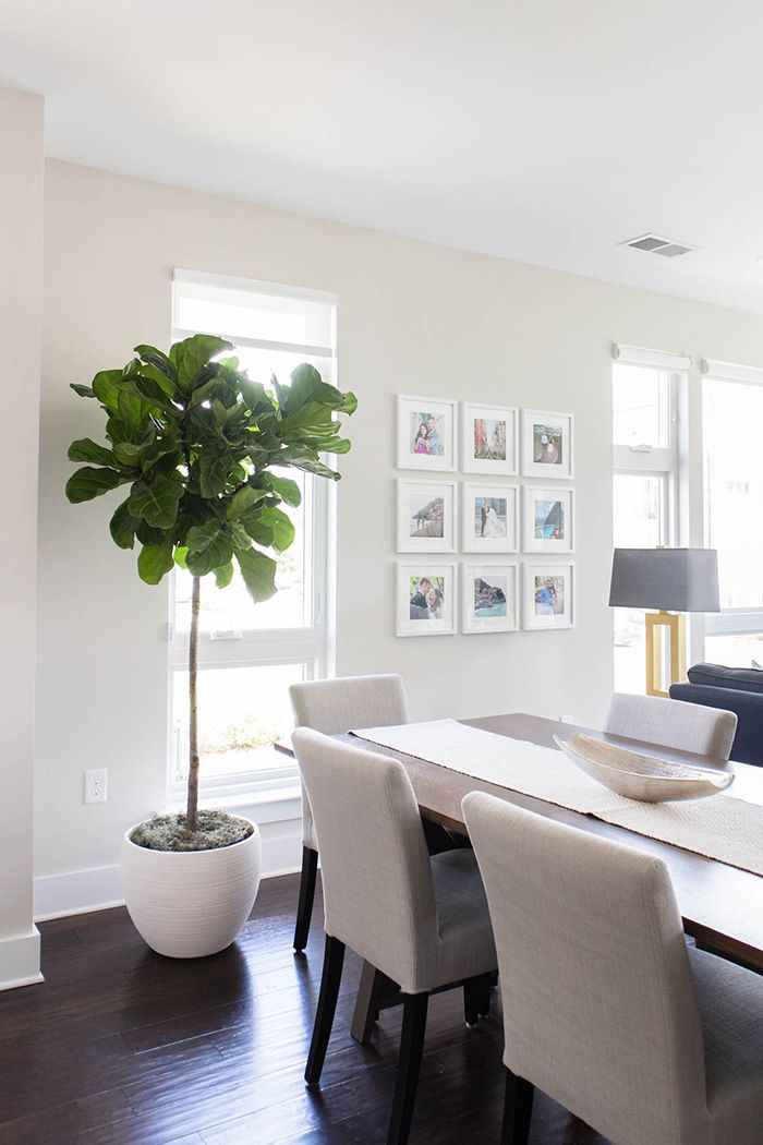 2704 Youngblood St dining