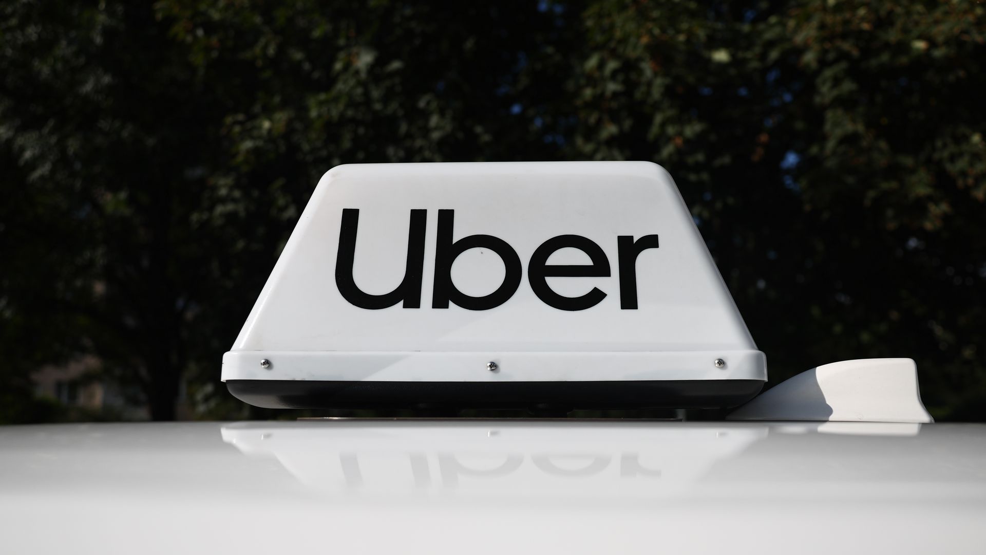 White Uber rooftop sign on a vehicle, featuring bold black Uber lettering against a dark leafy background.