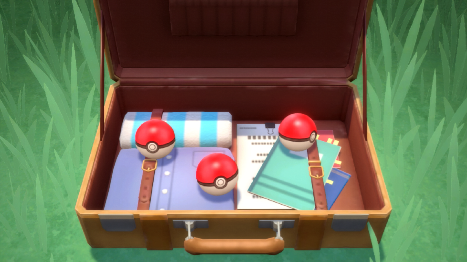 Video game screenshot of an open suitcase with Pokeballs inside