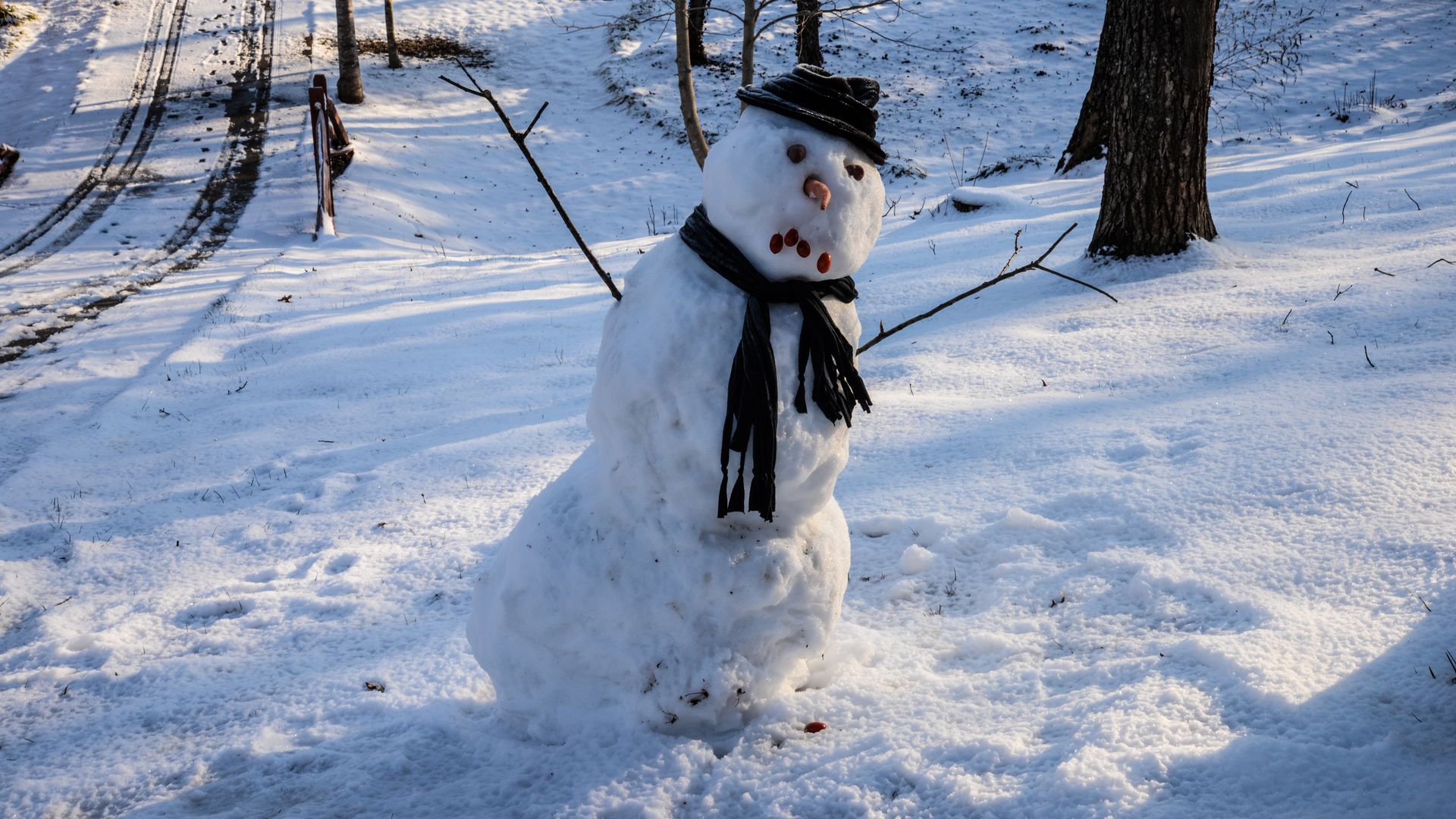 snowman sad