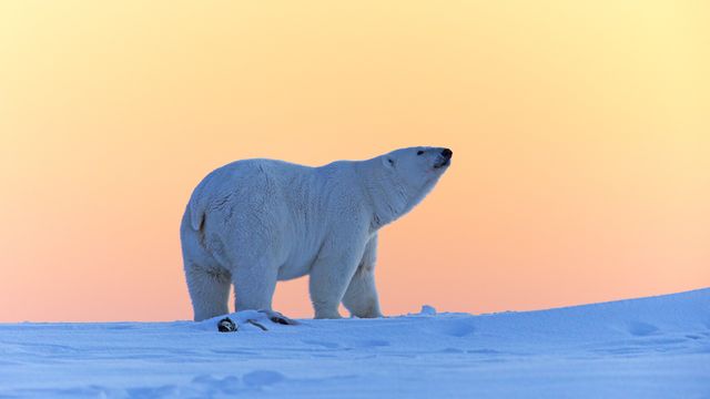 Energy & Climate - Axios