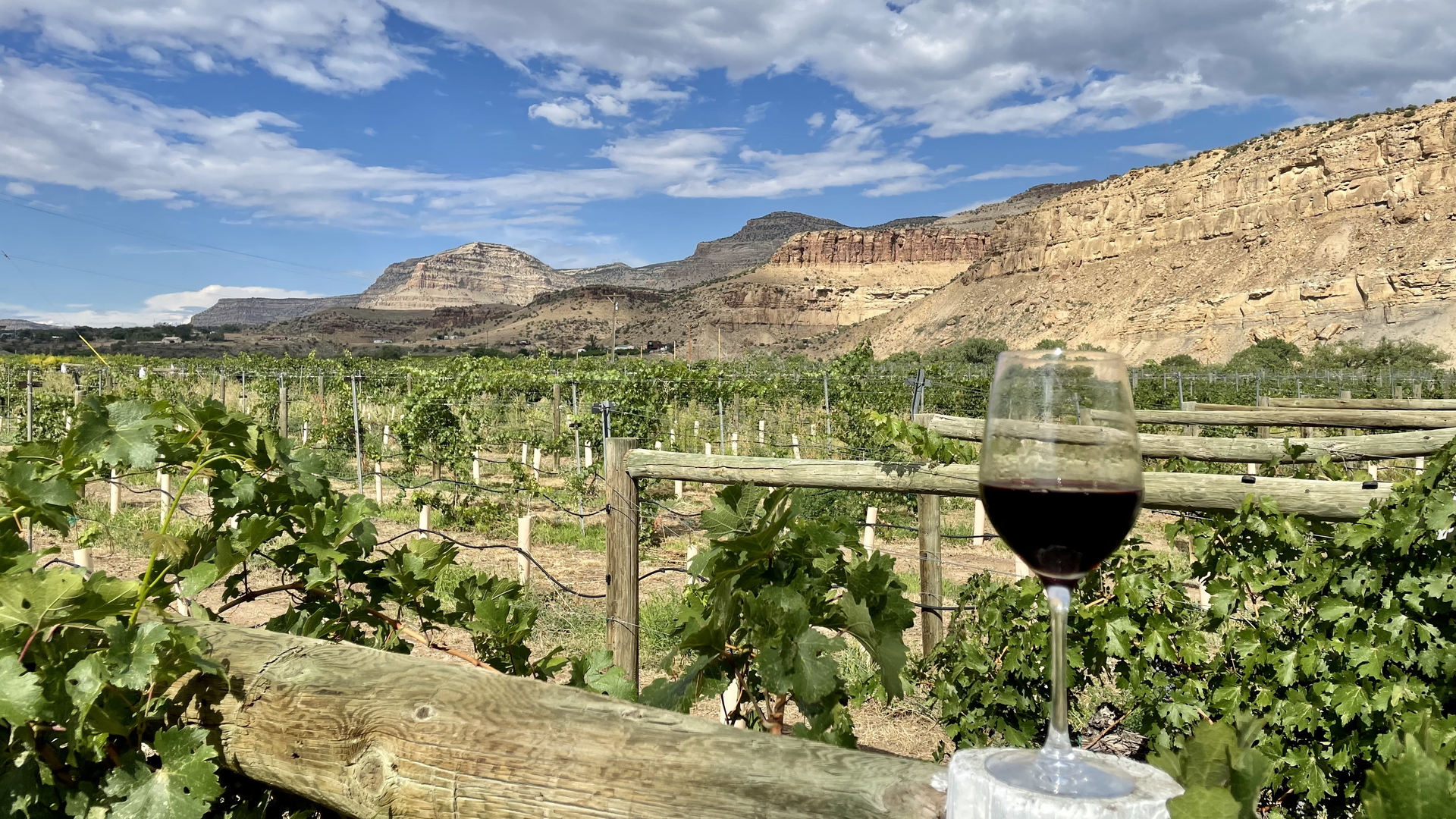 A glass of merlot at Colterris Vineyard. Photo: John Frank/Axios