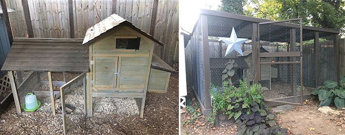 ashley-morgan-chicken-coop