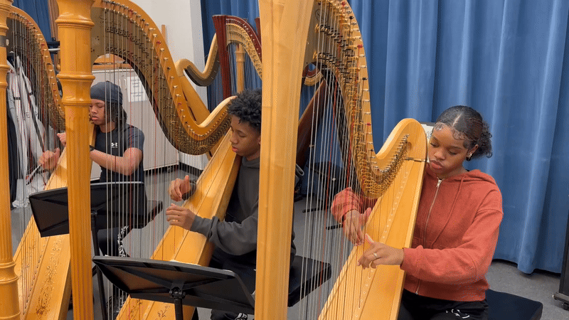Students pictured playing harp
