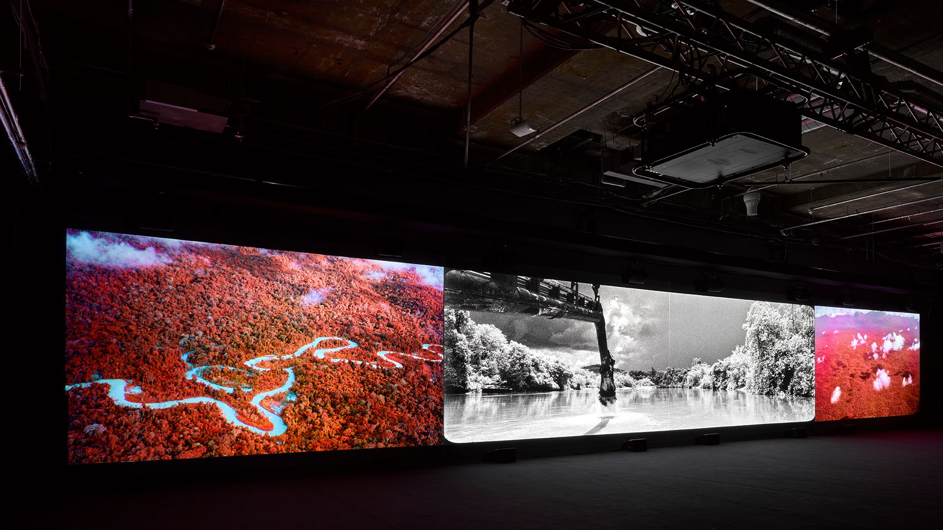 An image of a exhibition featuring a photo of the Amazon river.