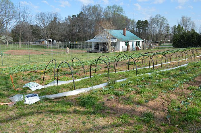 fields-renfrow-farms
