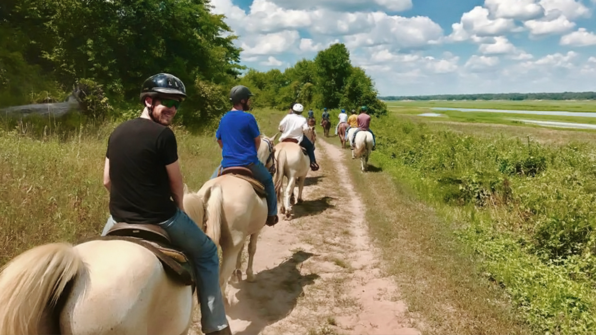 A photo of horses.