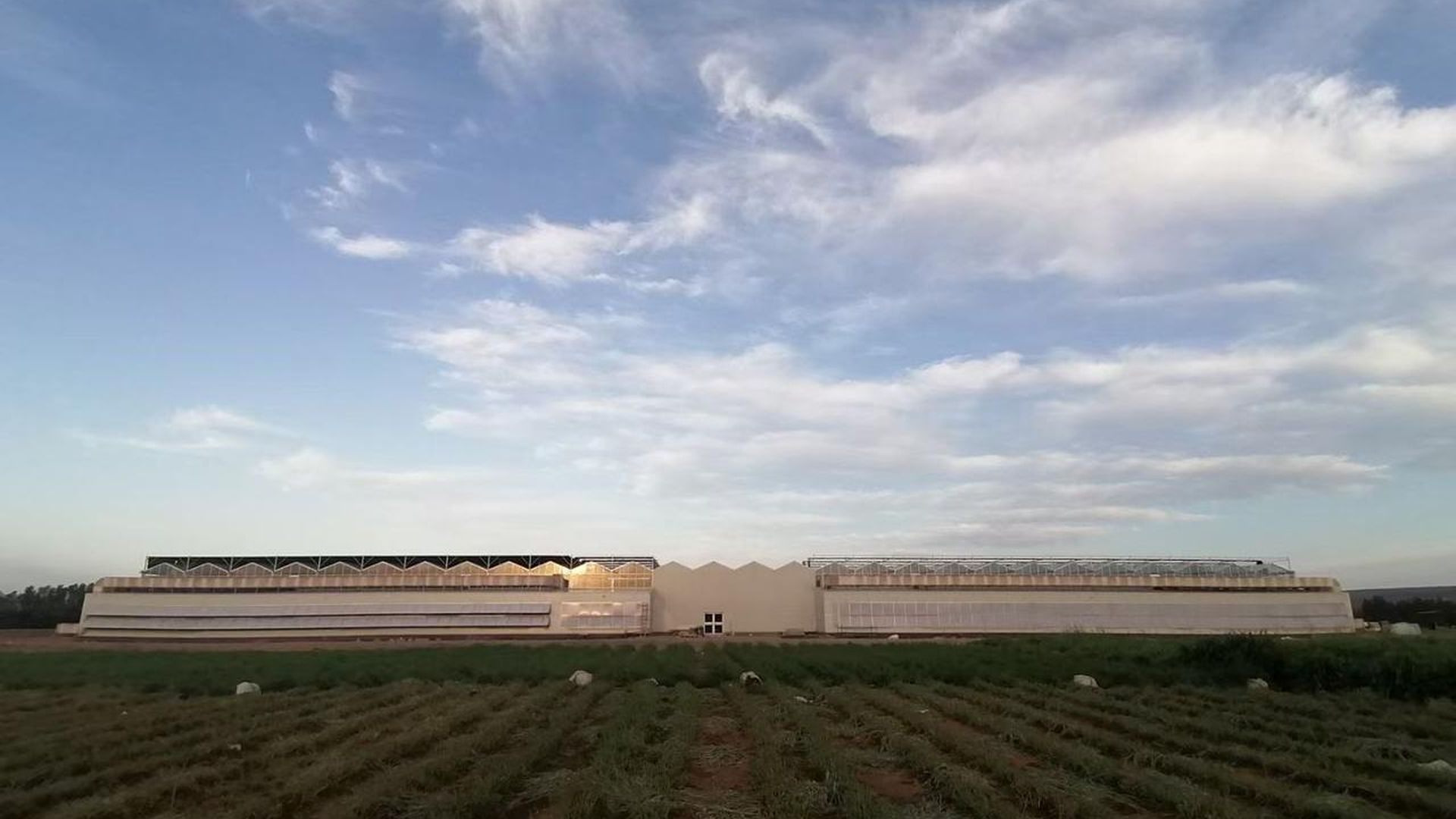 Mishkat farm in Saudi Arabia