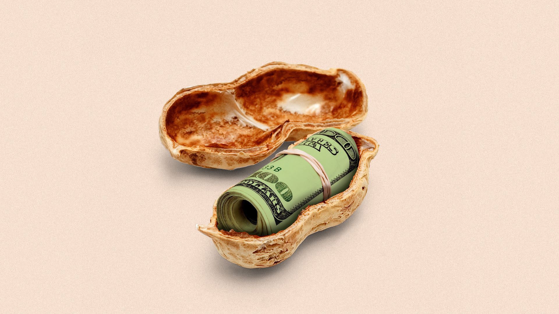 a peanut with cash inside its shell