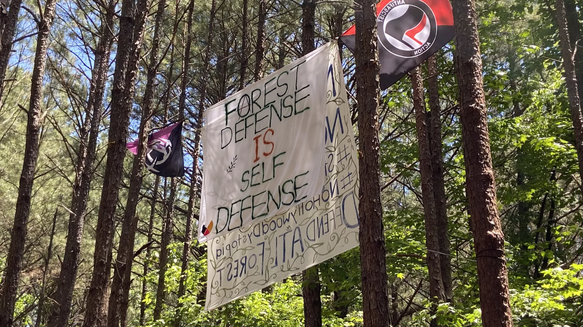 A photo of a banner urging people to "defend Atlanta forest" hanging between two trees in Atlanta woods