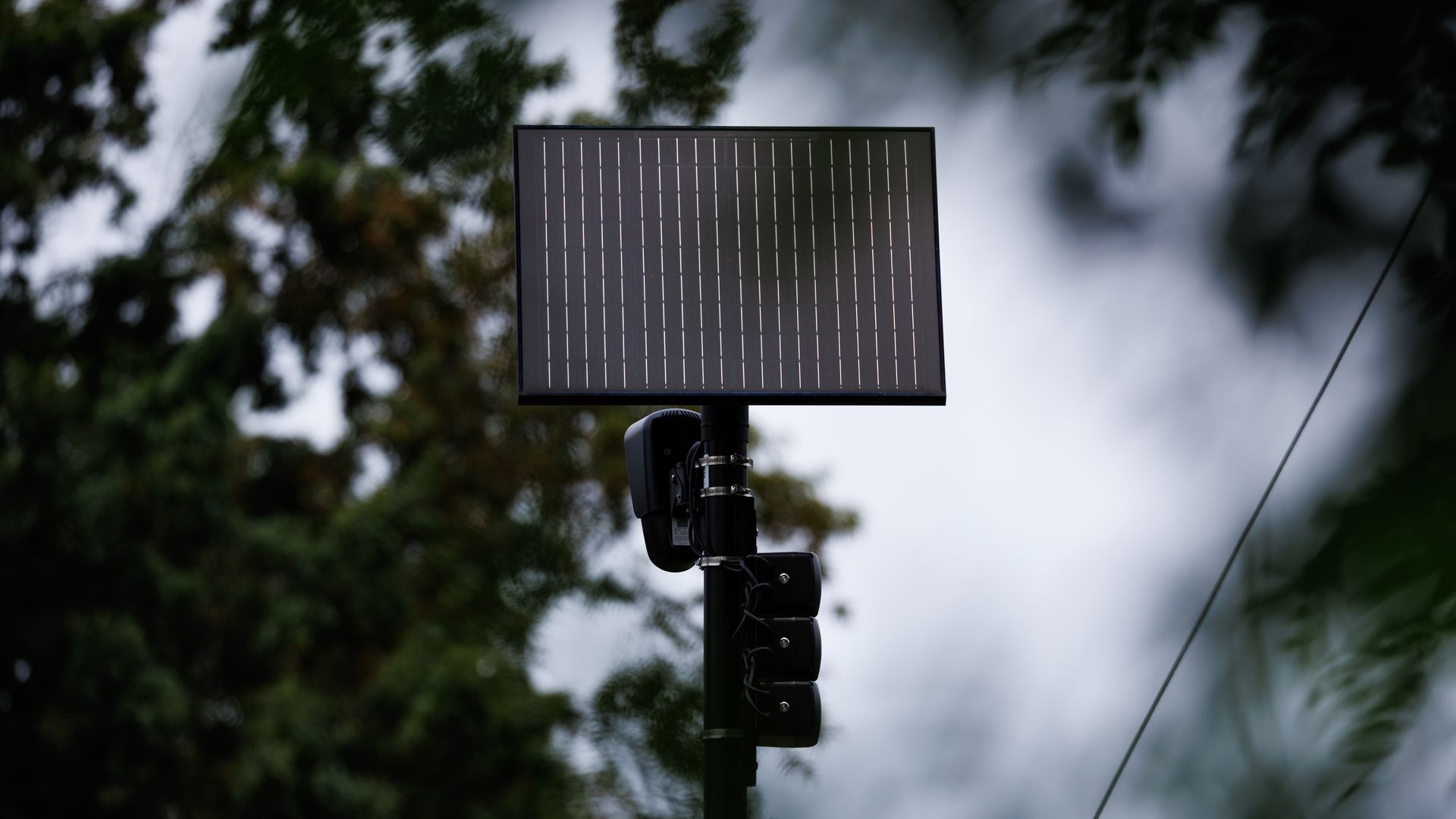 A Flock camera amidst leaves