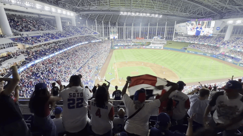 Fans waving the Dominican Flag. 