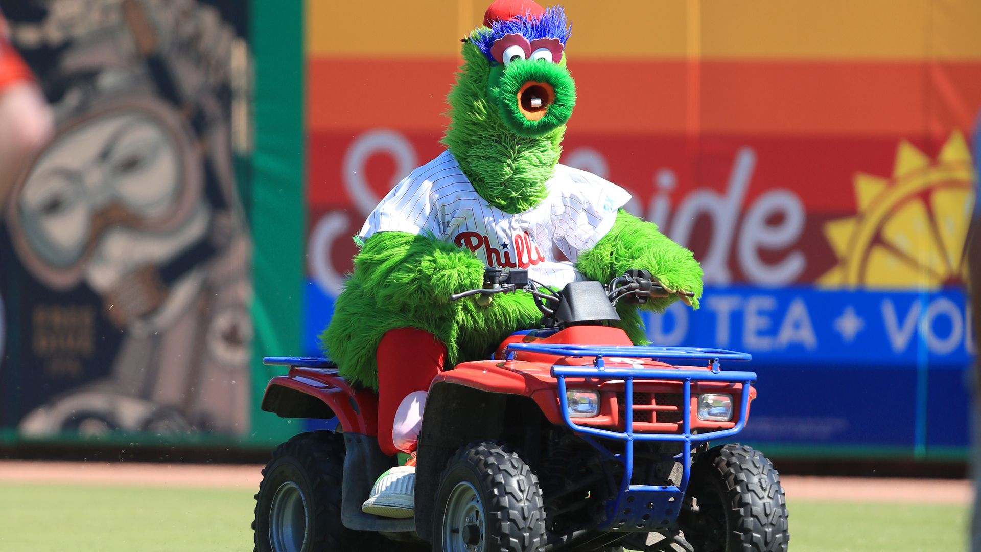 The Philly Phanatic drives an ATV during spring training.