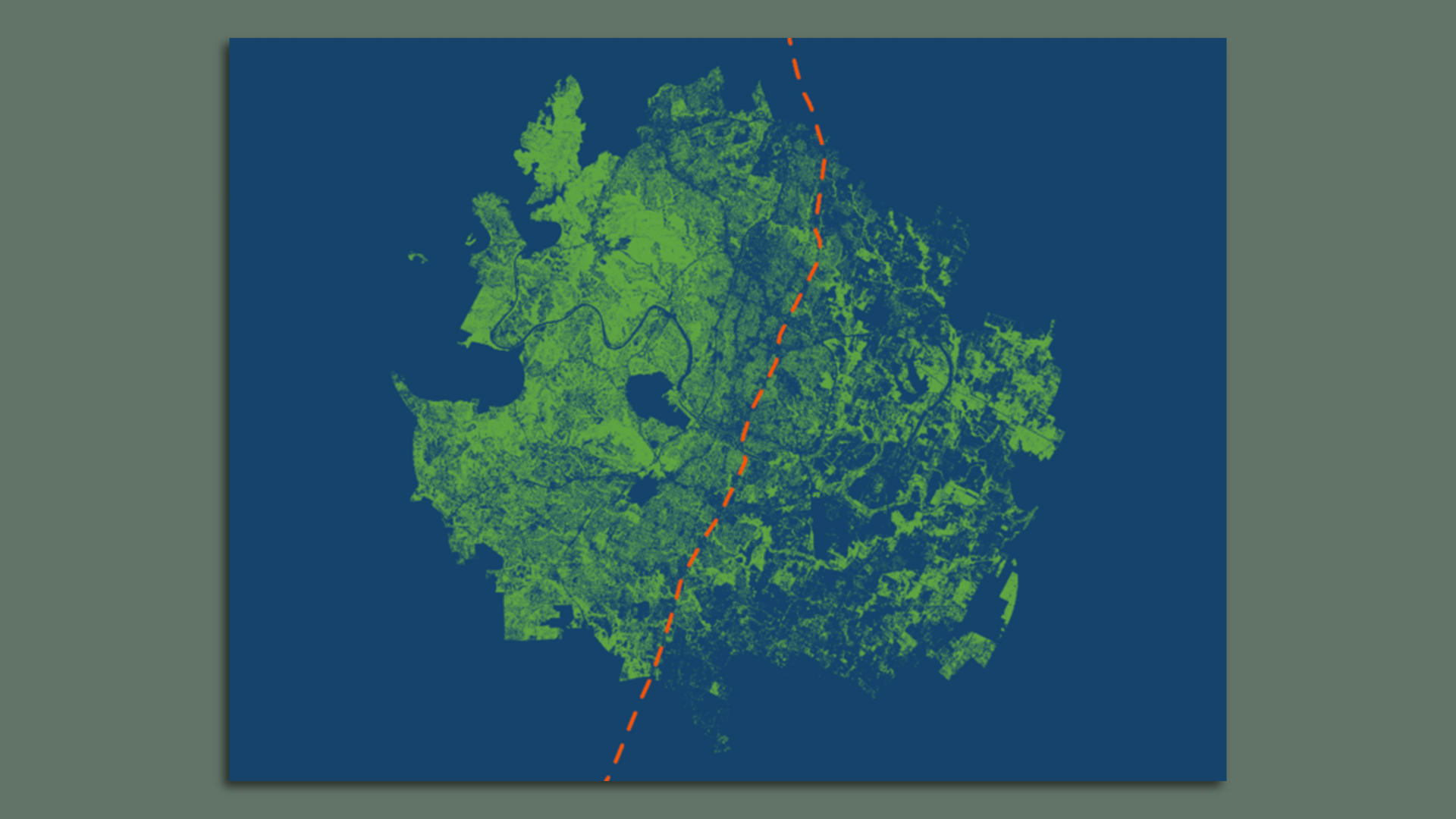 A map of tree canopy in Austin
