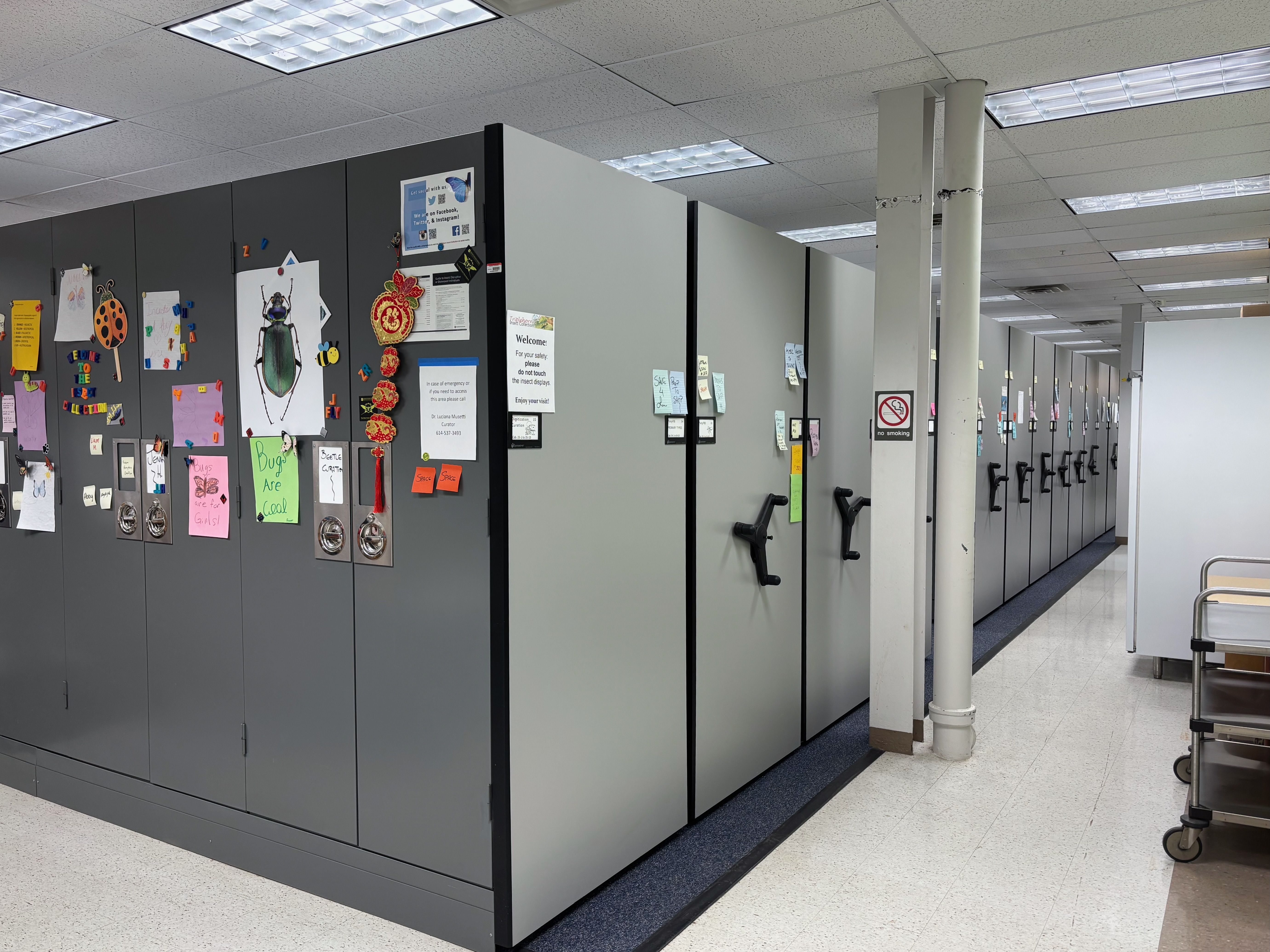 Row of gray metal lockers along a hallway, covered with colorful posters and drawings. A white pillar bears a "No smoking" sign, with a wheeled cart visible on the right.