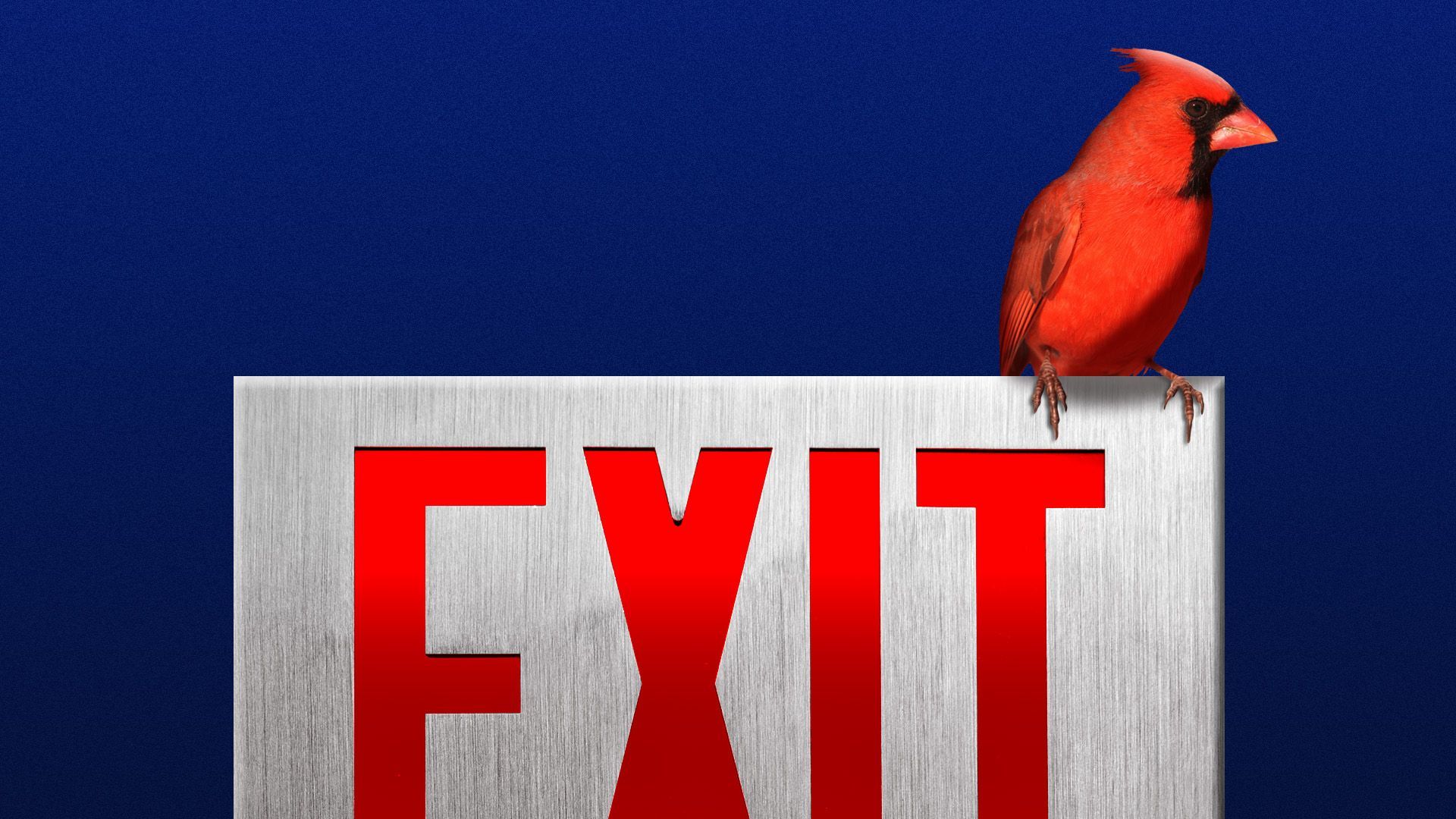 Illustration of a cardinal perched on an exit sign