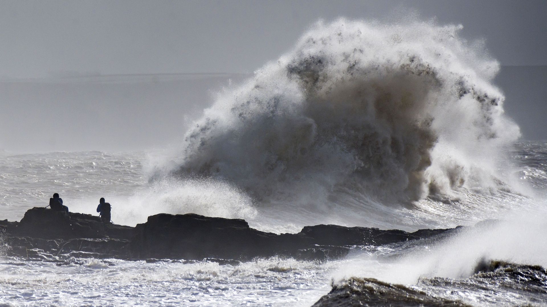 The ocean has been absorbing huge amounts of carbon dioxide in recent years, turning waters more acidic.