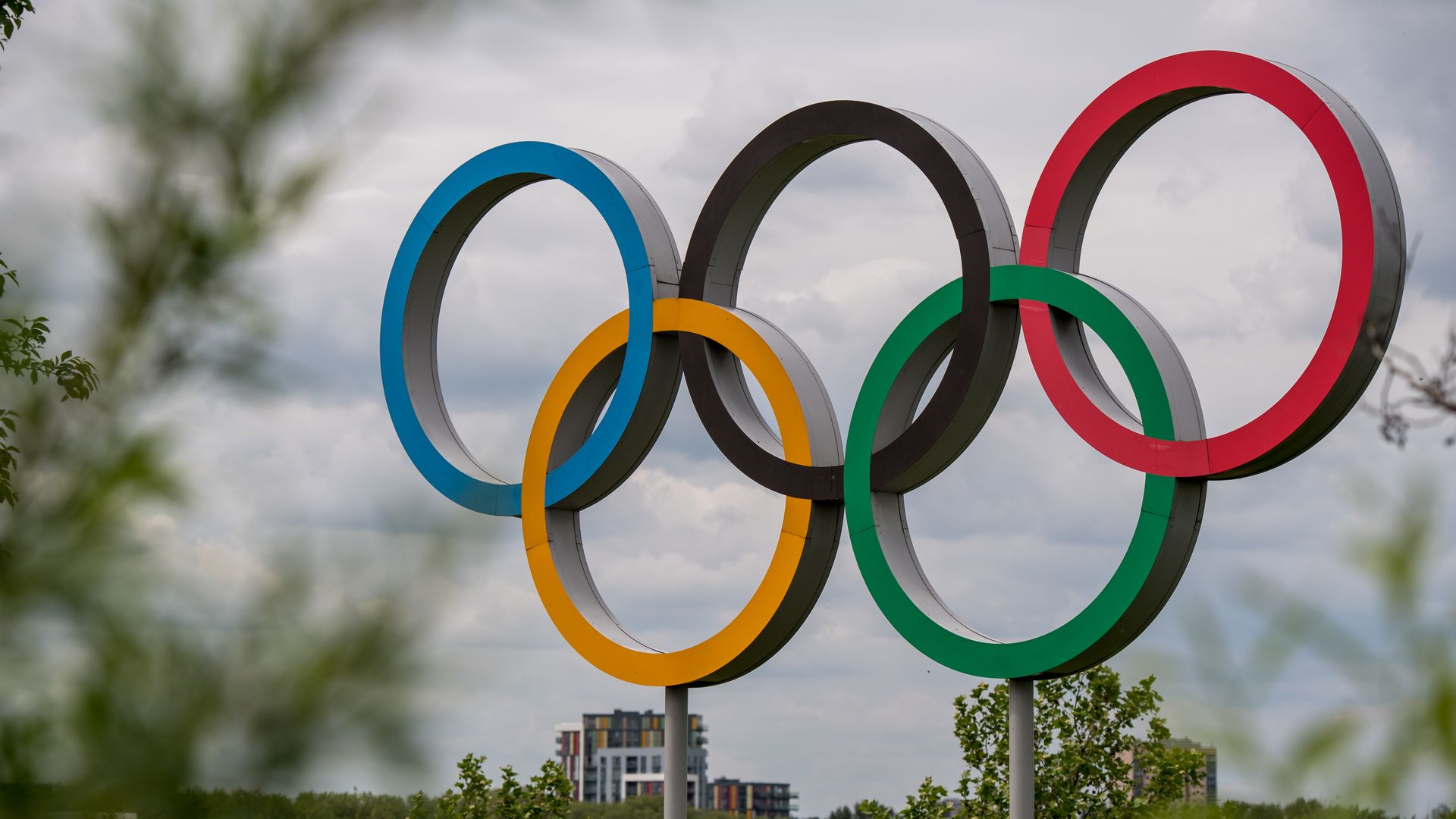Olympic rings