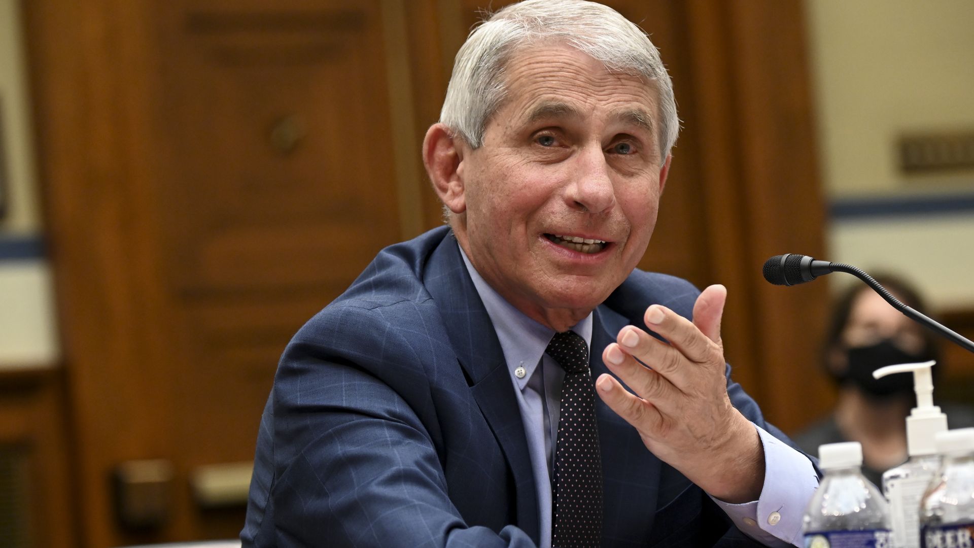 anthony fauci testifying in front of Congress. Photo: Erin Scott-Pool/Getty Images