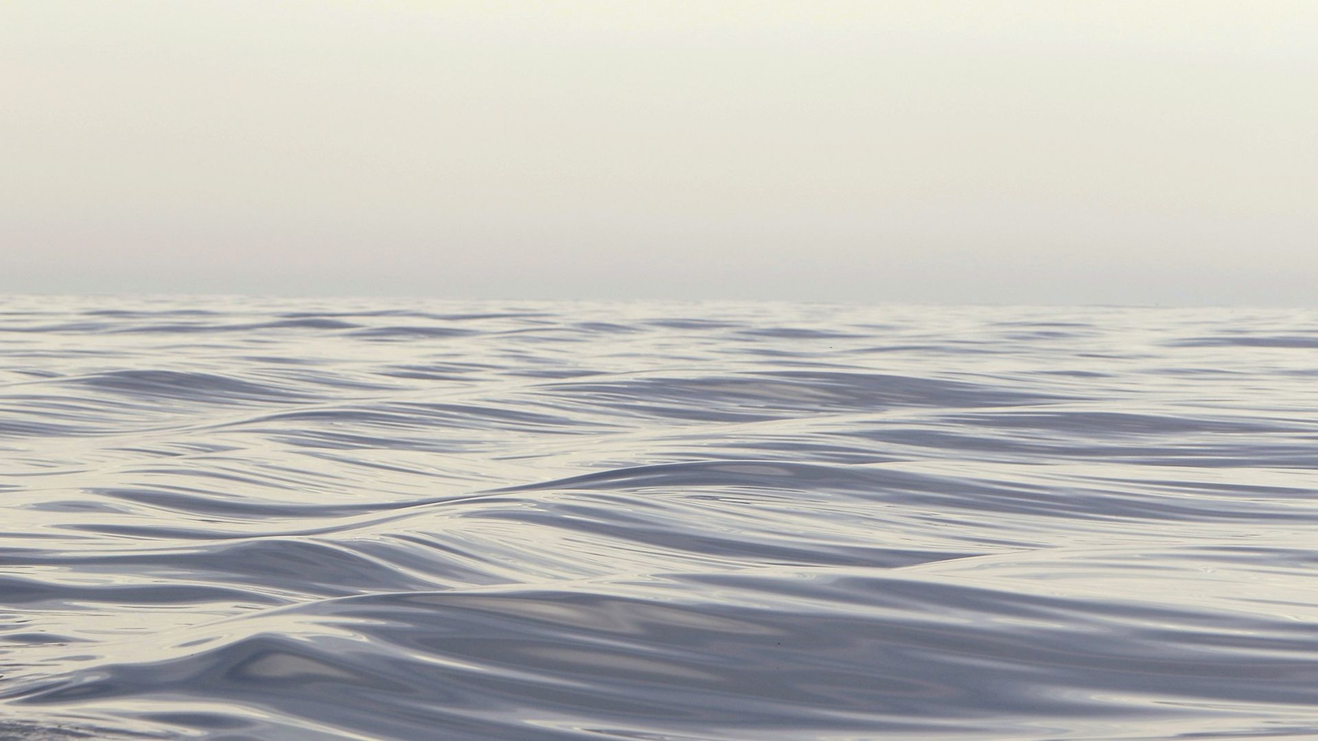 Waves in the Bay of Fundy