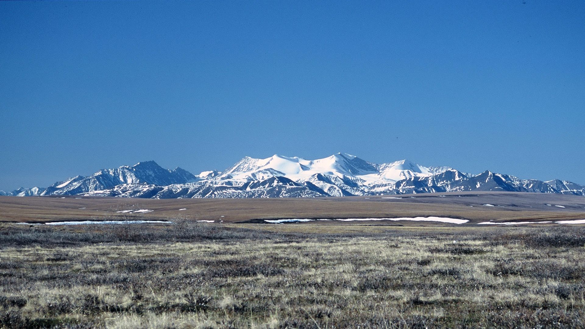 Photo showing the coastal plain of the Arctic National Wildlife Refuge in Alaska