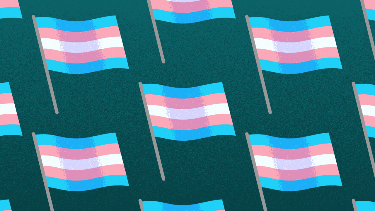 Animated illustration of a pattern of Transgender Pride Flags waving.