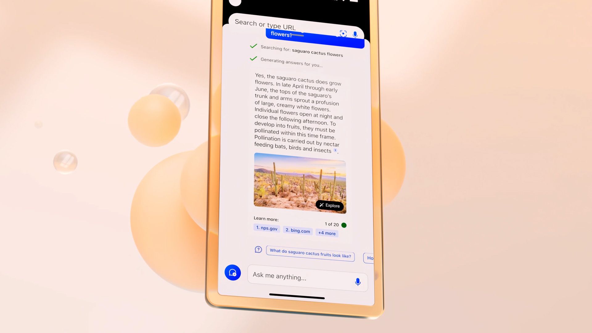 A screenshot of the AI-powered Bing delivering a result that includes an image along with text