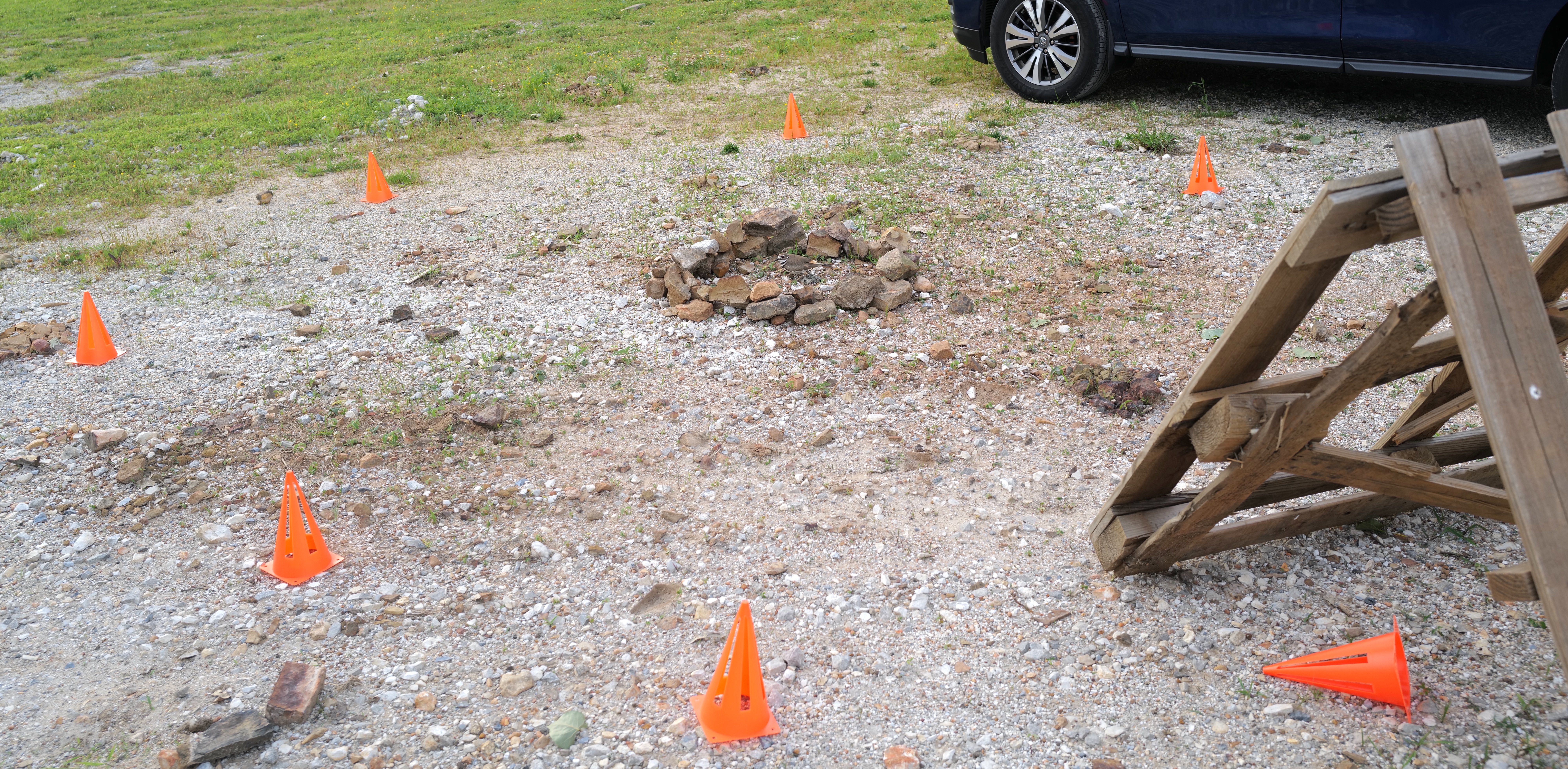 A bird sits in a stone ring around her nest which is then ringed that with safety-orange pylons.