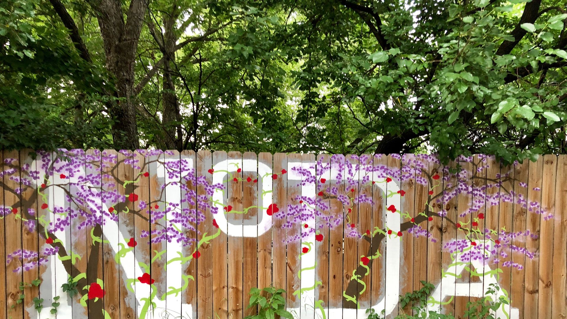 noda charlotte graffiti