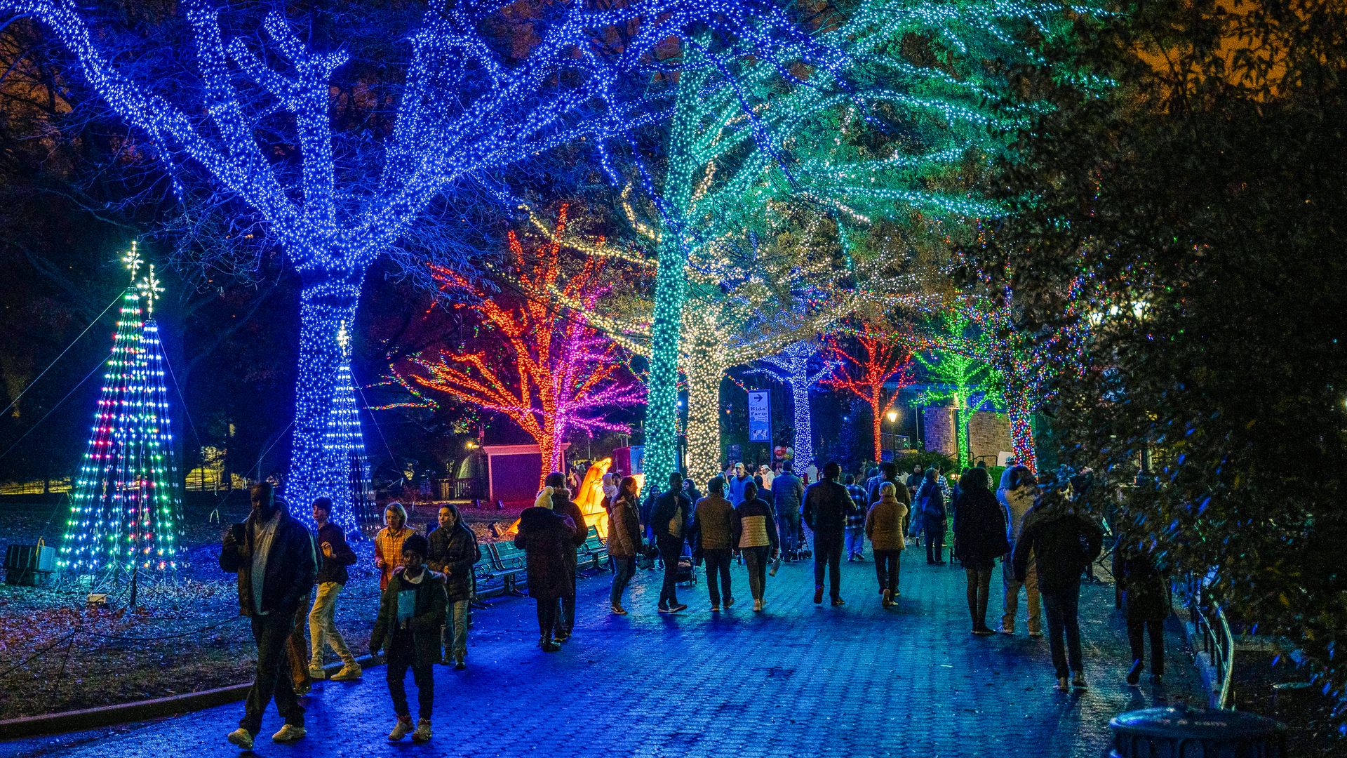 People walk under trees lit with colorful holiday lights.