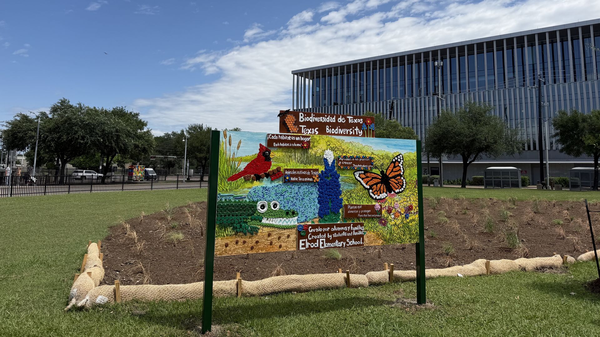 Bright blue sky with scattered clouds over a modern glass building. In the foreground a colorful sign about Texas biodiversity, showing birds, butterflies, and plants, with trees and a fence nearby.