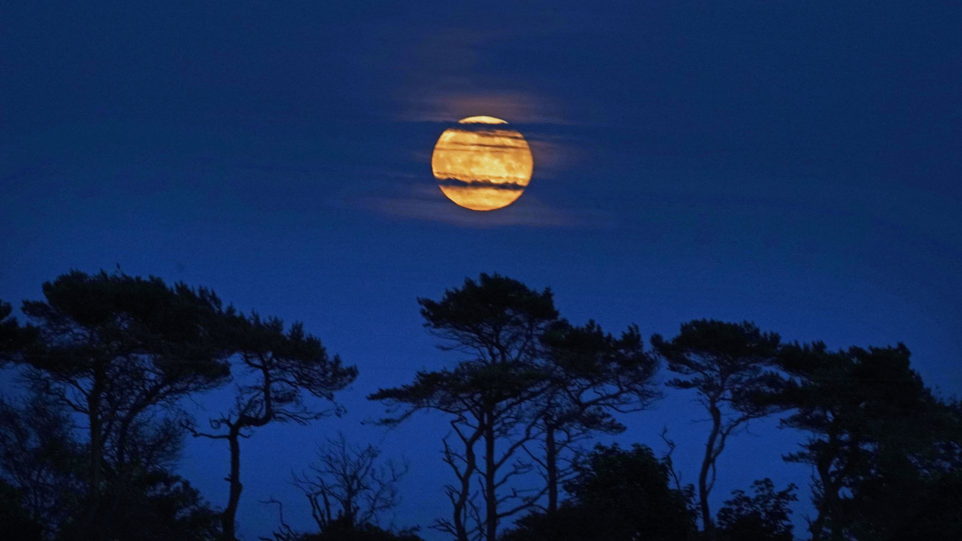 A yellowish moon in the night sky