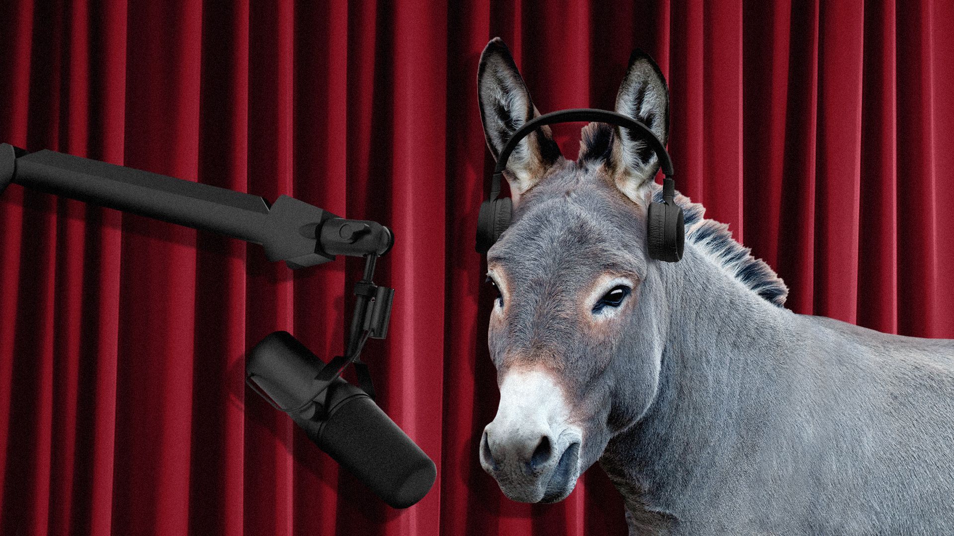 Illustration of a donkey wearing headphones and speaking into a microphone in front of a maroon curtain, as if on the Joe Rogan Experience. 