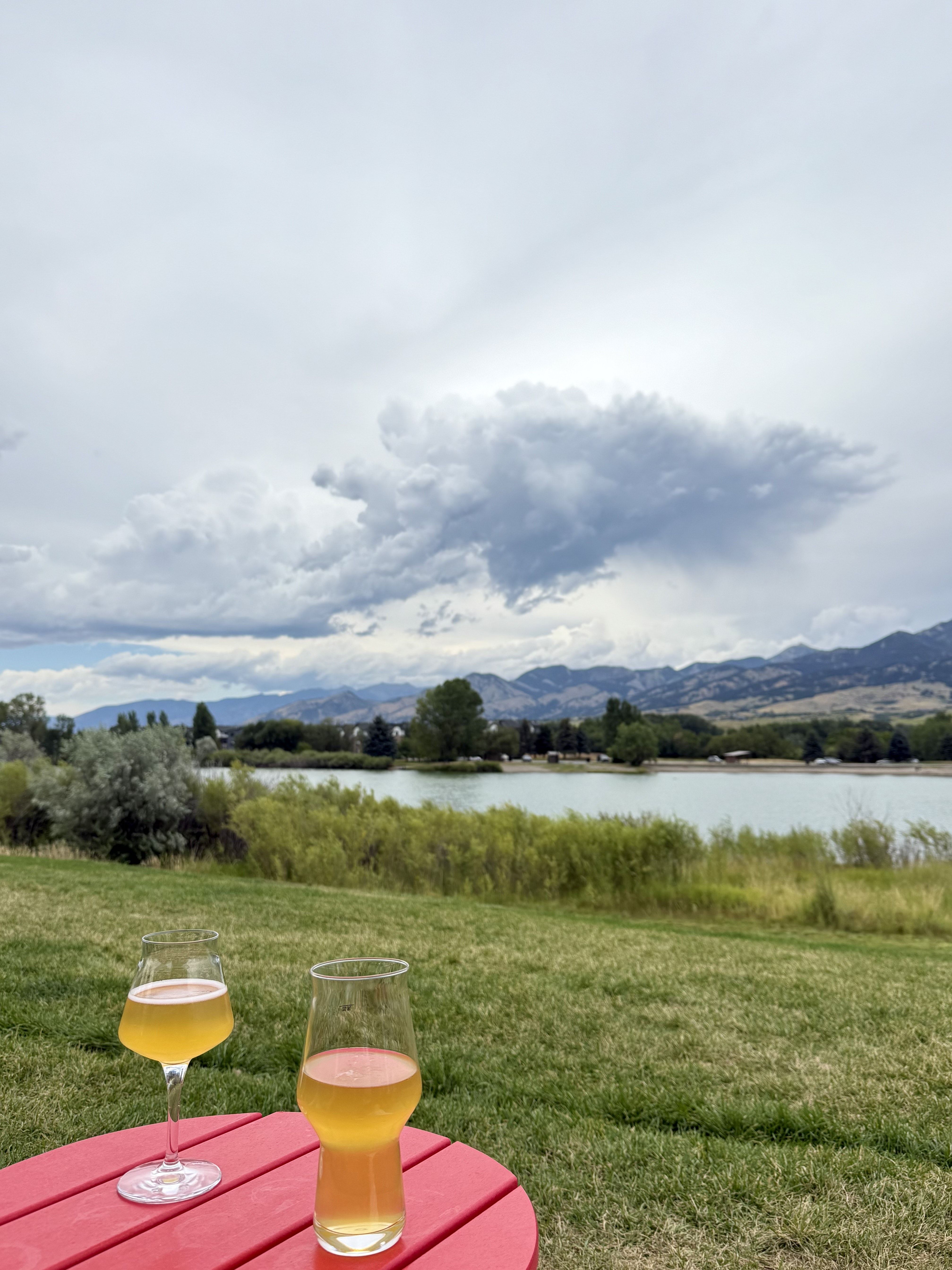 Two glasses of light amber beer on a red table on green grass overlooking a lake, trees, and distant mountains under a cloudy sky.