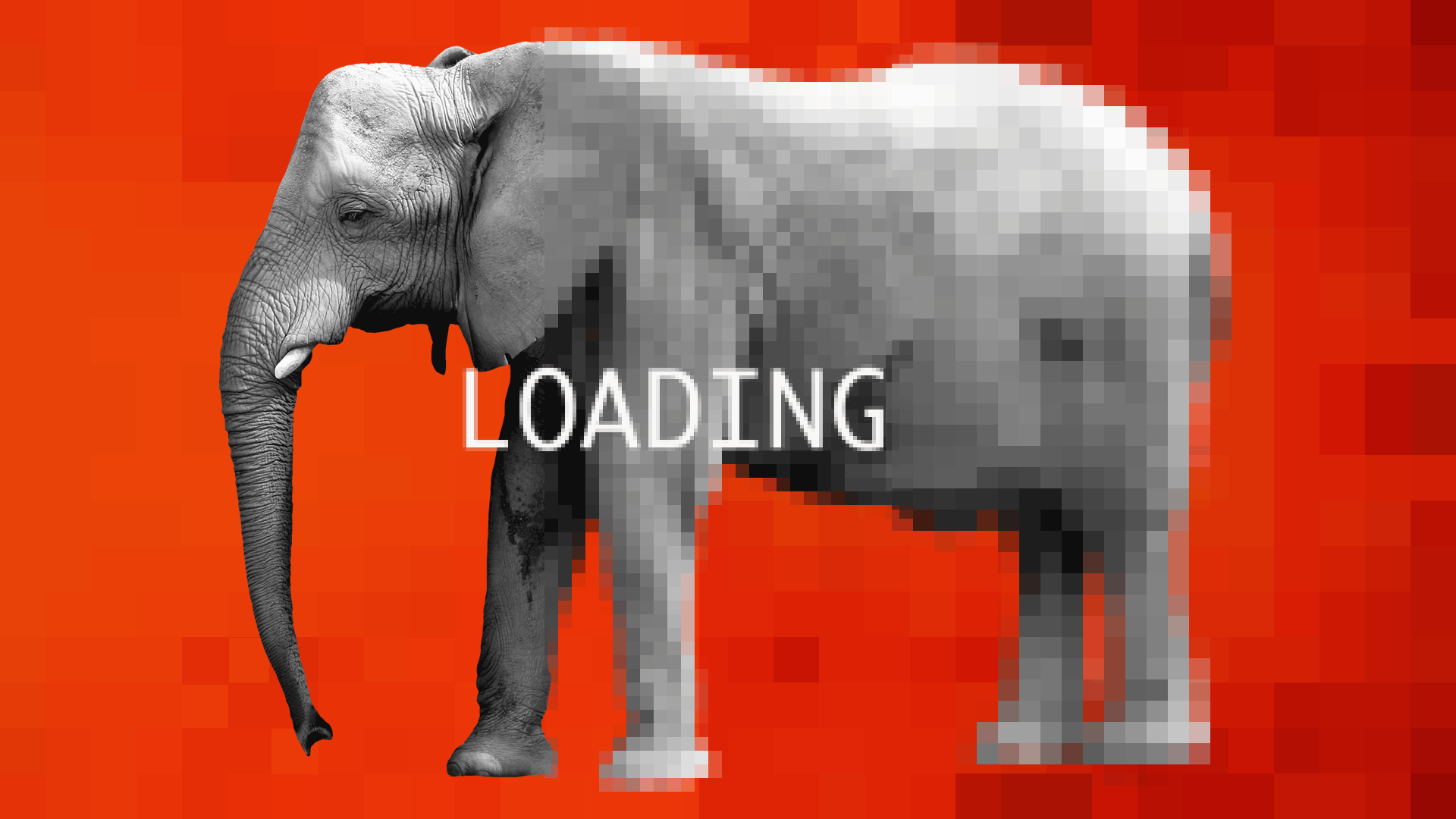 Animated gif of an image of an elephant loading