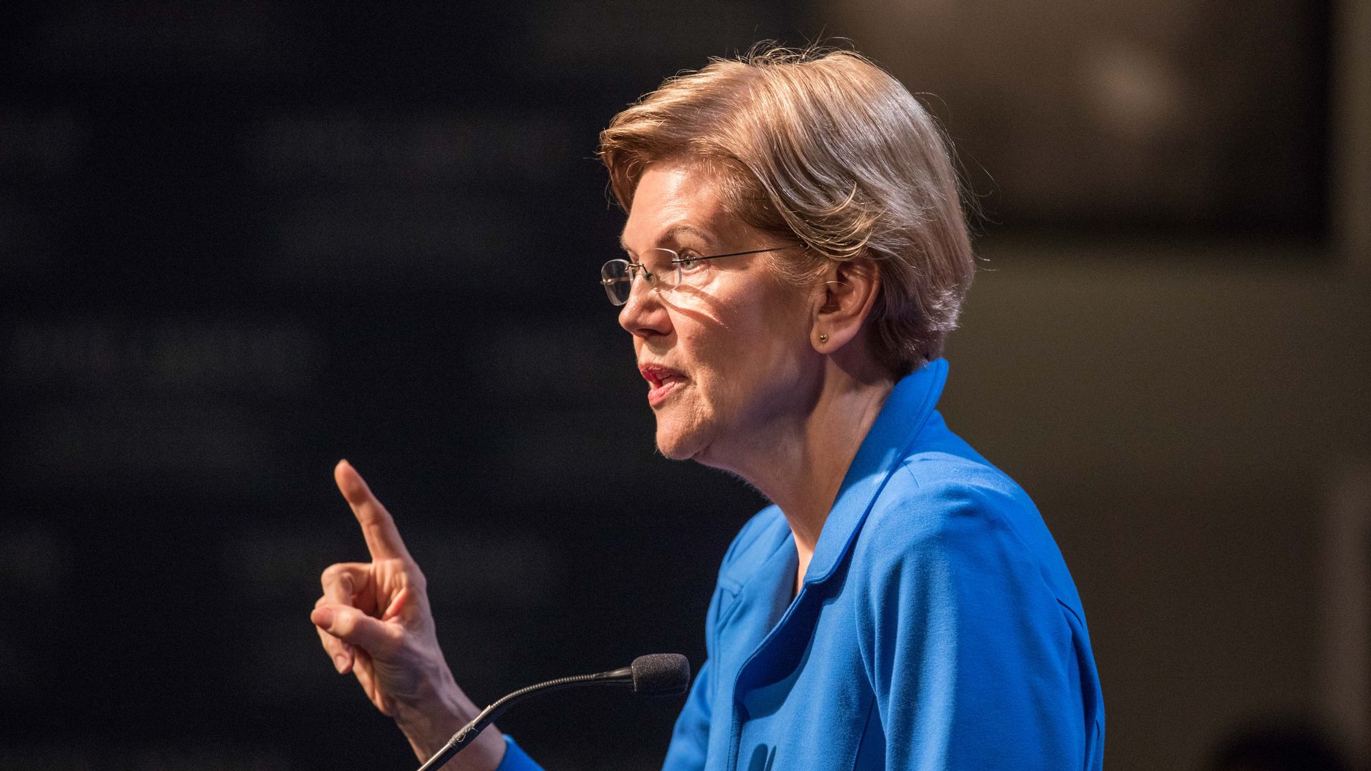 Sen. Elizabeth Warren (D-Mass.)