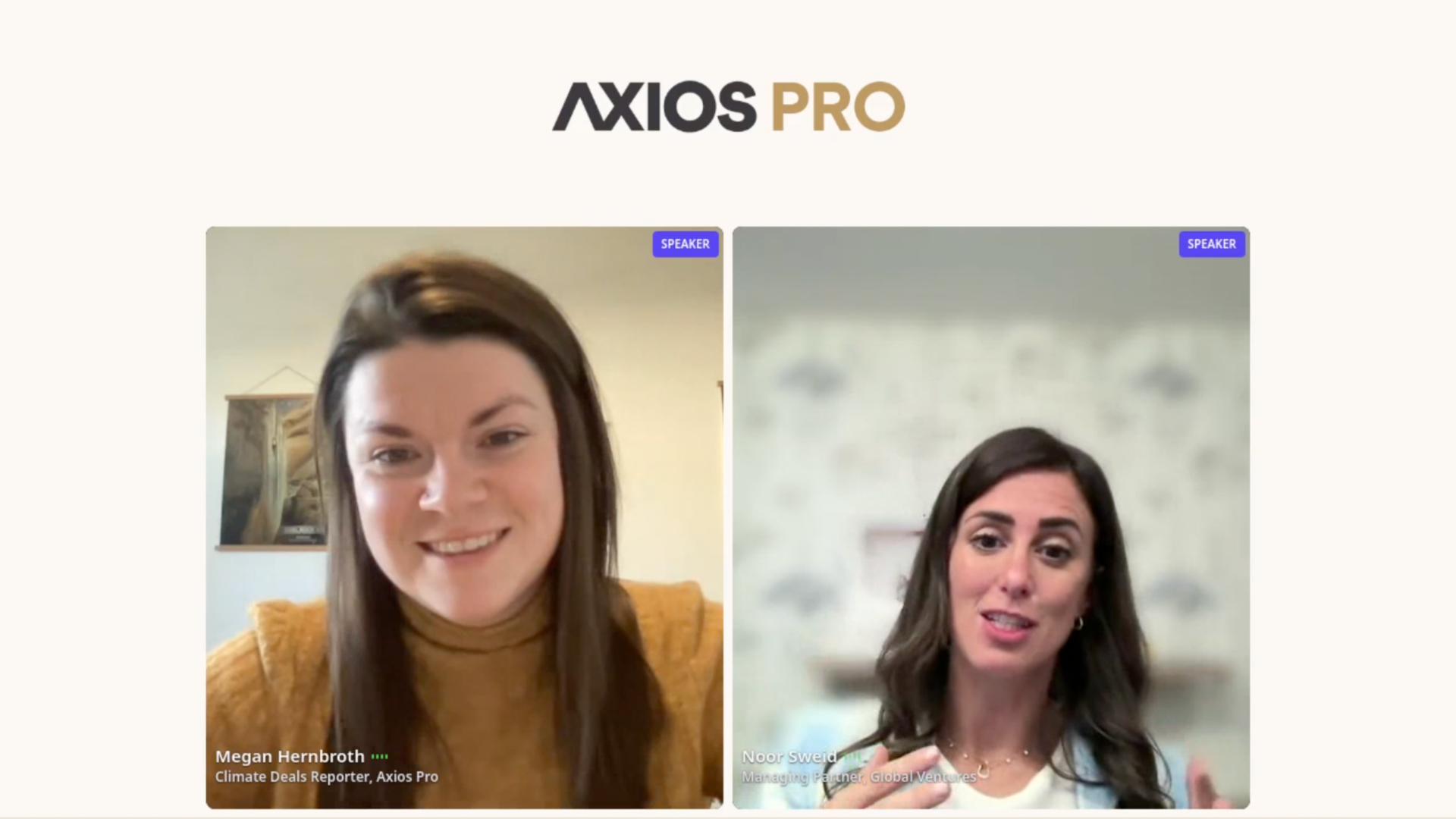A screengrab of Megan Hernbroth's online interview with Noor Sweid.