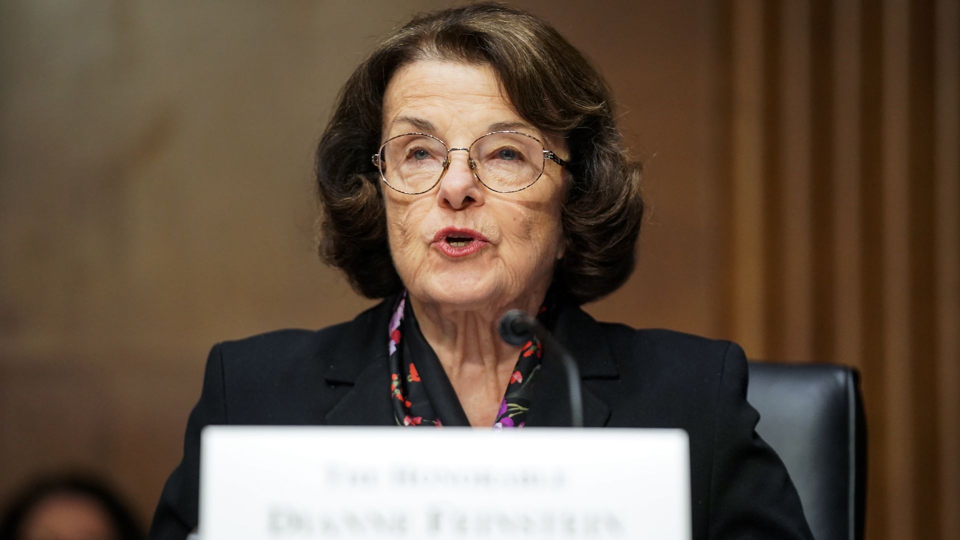 Sen. Feinstein speaking during a committee hearing in February.