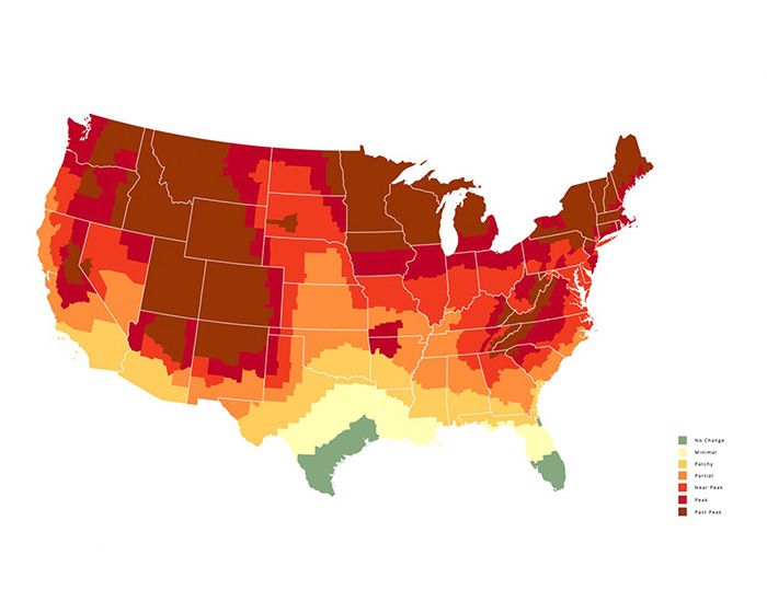Fall foliage forecast for Oct. 18. Image courtesy of David Angotti, smokymountains.com